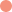 Salmon pink salmon pink